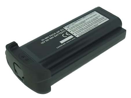 Remplacement Batterie Appareil PhotoPour CANON EOS 1DS