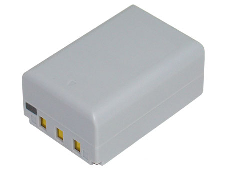 Remplacement Batterie Appareil PhotoPour CASIO NP 100
