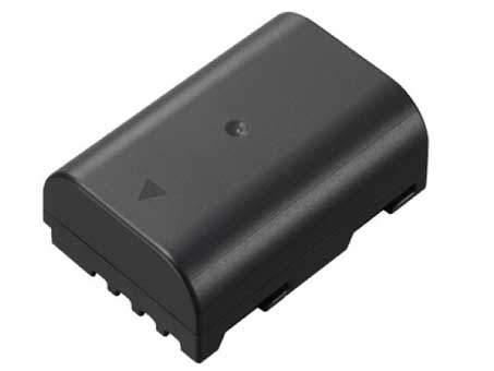 Remplacement Batterie Appareil PhotoPour PANASONIC DMW BLF19